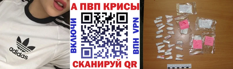 A PVP СК КРИС Клинцы