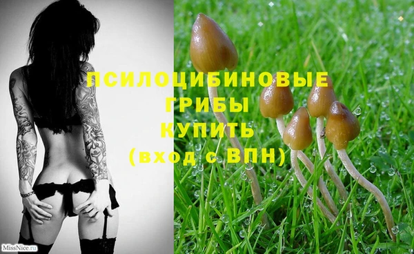 кокаин колумбия Абаза