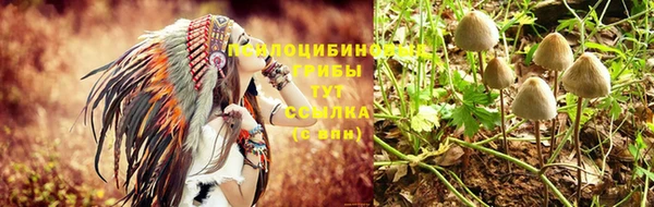 Альфа ПВП Алзамай
