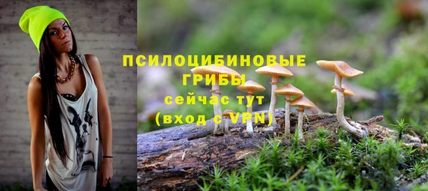 Альфа ПВП Приозерск