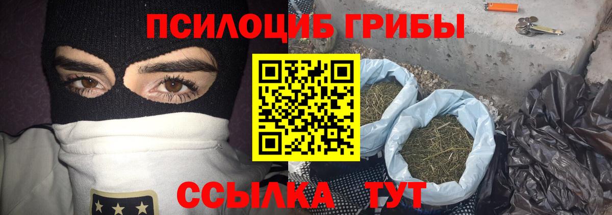 Псилоцибиновые грибы прущие грибы  Вход с VPN  Клинцы 