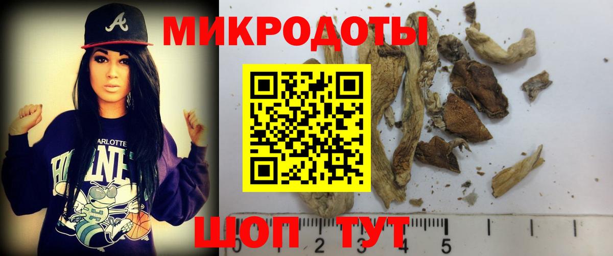 Псилоцибиновые грибы MAGIC MUSHROOMS Клинцы